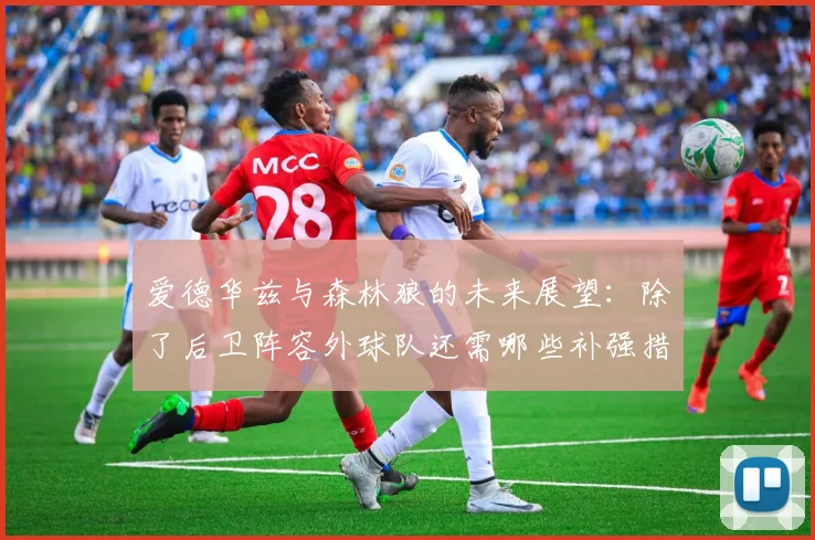 爱德华兹与森林狼的未来展望：除了后卫阵容外球队还需哪些补强措施